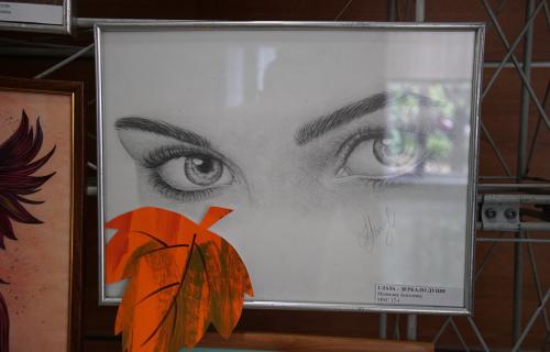 Dsc00342